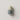 Polygonum Roll-On Deodorant 75ML
